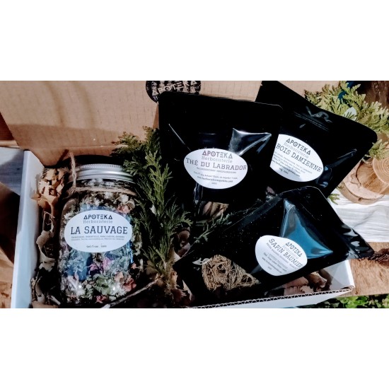 Apoteka herbal tea gift box